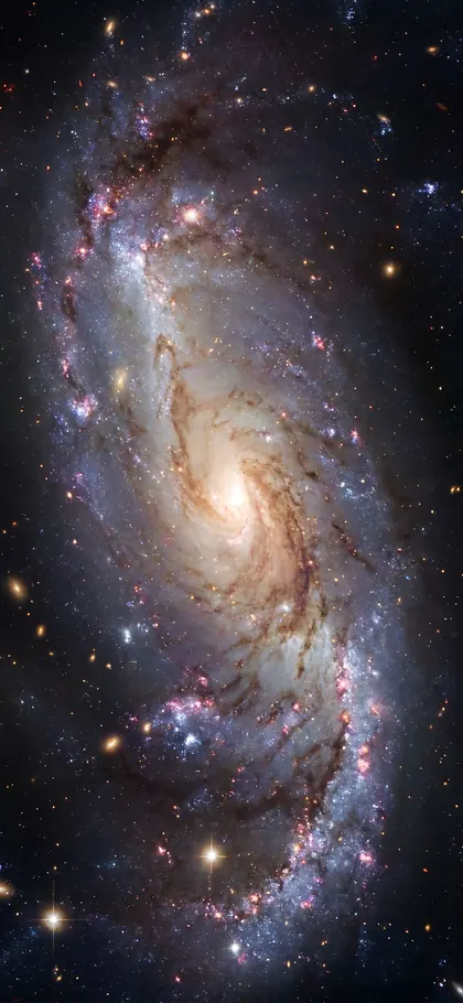 Spiral Galaxy – phone wallpaper from the Cosmic Dreams Wallpaper Pack